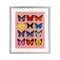 Stupell Industries Butterfly Species on Pink Framed Print Under Glass, design by LISH Creative